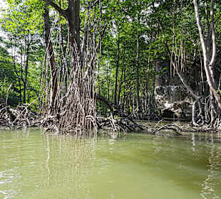 Los Haitises Nationalpark