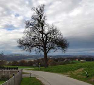 Blick richtung Schöckl
