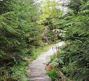 Rundwanderweg Baiersbronn