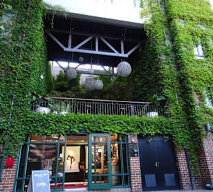 Stadtrundgang Sydney