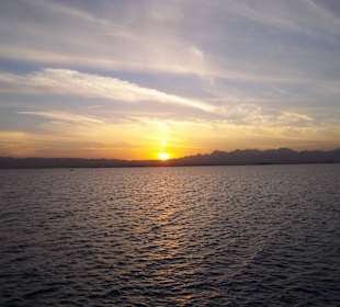 Ausflug zum schnorcheln