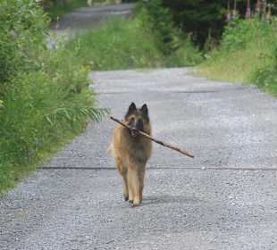 Wandern Curon Venosta / Graun im Vinschgau