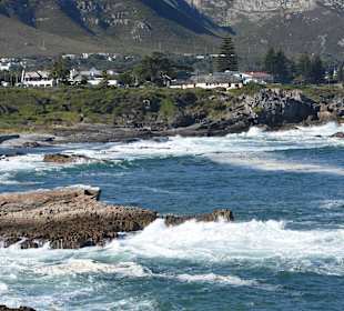 Wandern Hermanus