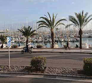 Yachthafen Can Pastilla	