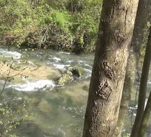 Fluss Breitenbach