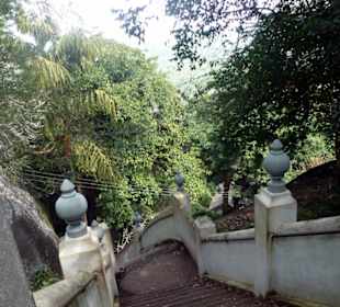 Ganz schön steil und dann noch hohe Stufen