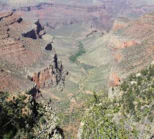 Grand Canyon South Rim