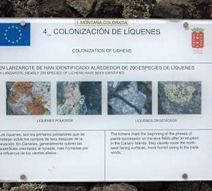 Wissenswertes über Vulkanismus