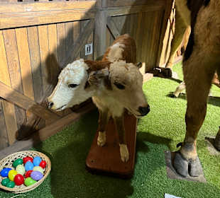 Museum Ripley's Believe It or Not!