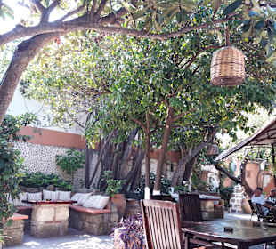 Socratous Garden