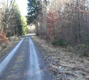 Wanderung rund um den Ochsenweiher