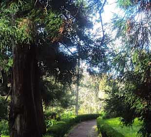 Ogród Botaniczny Funchal