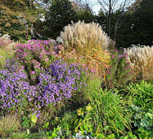 Rundgang durch das herbstliche "Planten un Blomen"