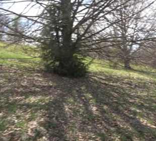 Rundweg am Beutenlay