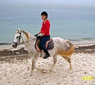 Ausritt auf Selvina am Strand