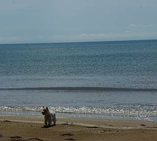 Der Strand, einige sind hier FKK