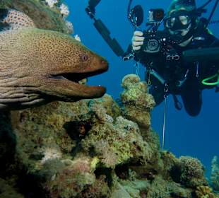 Tauchbasis Extra Divers Makadi