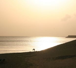 Abendstimmung am Strand von Jandia