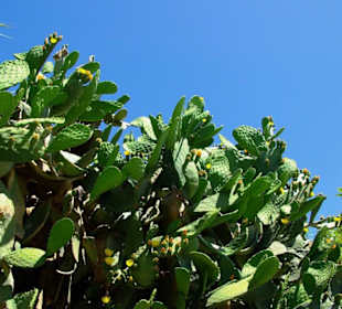 Green Canyon vom Staudamm nach Side