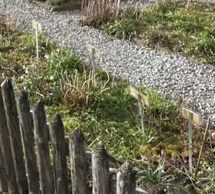 Gewürz- und Kräutergarten