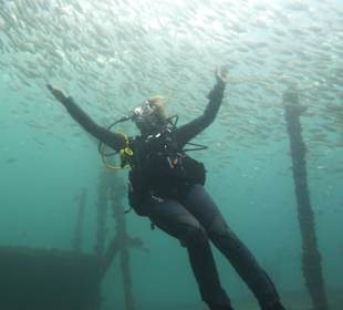 Tauchen am Wrack der Fähre in der Bucht Samana