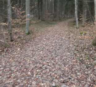 Brühl-Brünnele Ehestetten