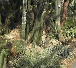 Botanischer Garten