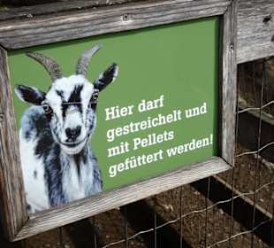 Der Streichelzoo-Bereich