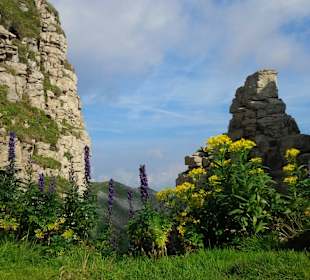 Blick vom Hohen Ifen