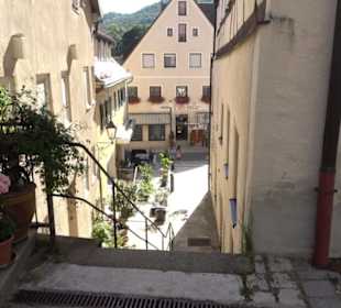 Weißes Ross