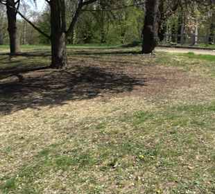 Parkanlage Villa Berg