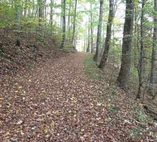 Premiumwanderweg hochgehkeltert Neuffen
