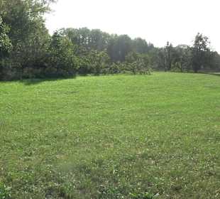 Wanderung zur Burgruine Liebenau