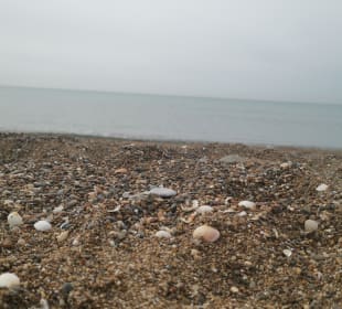 Strand Lara