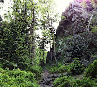 Wandern auf der Brandhöhe