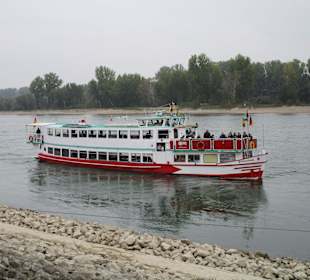 MS Pfälzerland