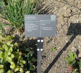 Erläuterungen der Kräuter