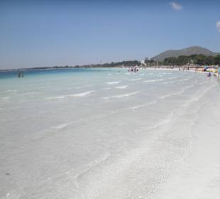 Alcudia