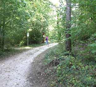 Bussen Schöpfungsweg Offingen