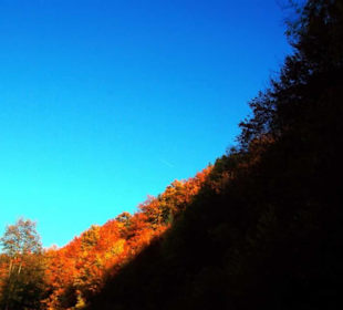 Gegend um Pottenstein