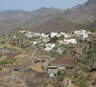 Tejeda