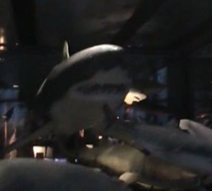 Naturhistorisches Museum