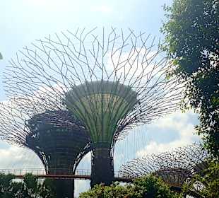 Gardens by the Bay
