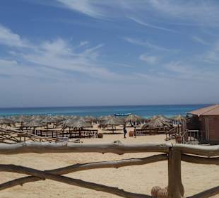 Paradise Island