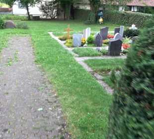 Friedhof Dapfen