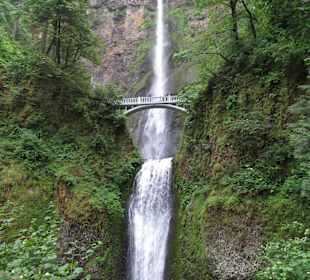Multnomah Falls