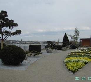 Japanischer Garten