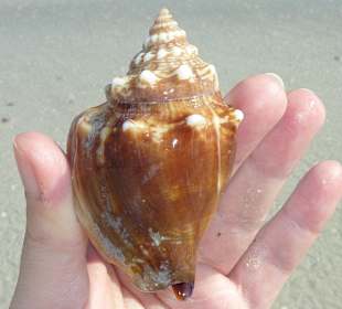 Kann man als Suvenir mitnehmen