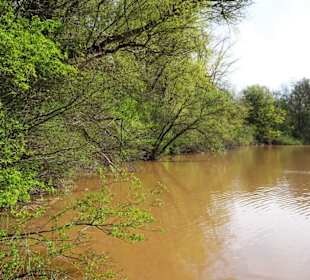 Eindrücke von den Ricklinger Kiesteichen