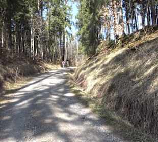 Geologischer Lehrpfad Kirnbachtal